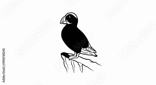 Black and white drawing of a puffin bird perched on a branch