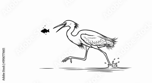 Bird hunting fish in water