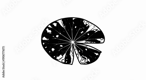 A stylized black and white line art drawing of a single damaged lily pad