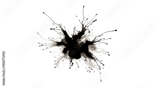 Dynamic black ink splash on a clean white background.