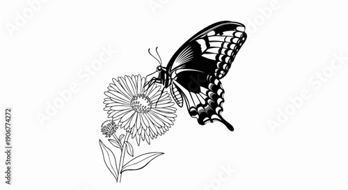 Black and white drawing of a butterfly resting on a daisy with leaves