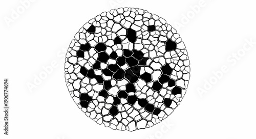 Abstract circular pattern with interconnected polygonal shapes, some black and white