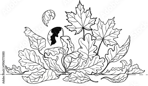 A stylized ink drawing of autumn leaves scattered on a surface