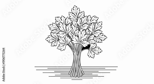 A stylized line art drawing of a bunch of parsley