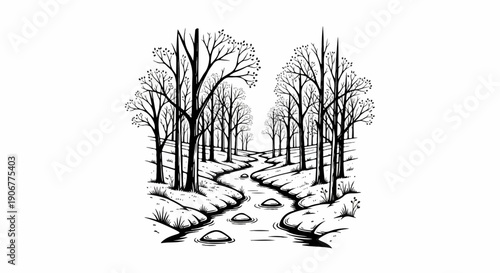 A winding stream flows through a bare forest with rocks and sparse vegetation