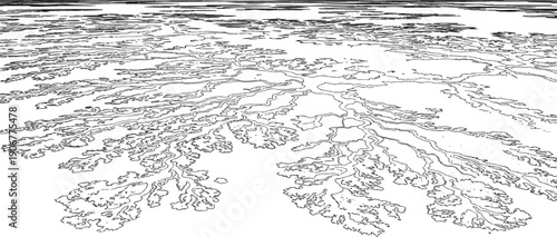 Abstract outline of branching waterways or river delta seen from above