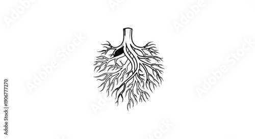 Abstract line art of branching roots spreading from a central trunk