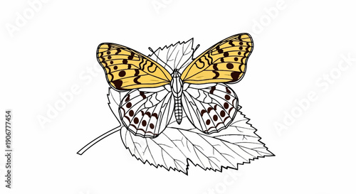 A yellow and black patterned butterfly rests on a sketched leaf