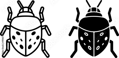 Black and white ladybug with spots beetle insect