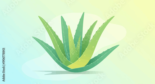 A vibrant green aloe vera plant with pointed leaves on a soft, gradient background