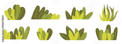 Set of garden green plant. Shrub bush shrubbery tree2