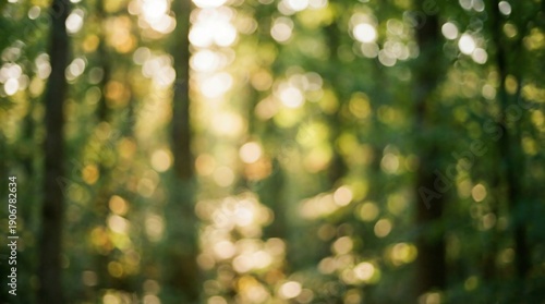 Wallpaper Mural Sunlight filters through a dense forest canopy creating a warm, golden bokeh effect against the dark tree trunks in the background. Torontodigital.ca
