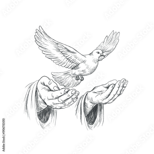 Fotografía Hand drawn black and white pencil sketch of two open hands releasing a flying dove