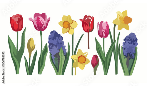 Decorative spring flowers vector art with tulips and daffodils