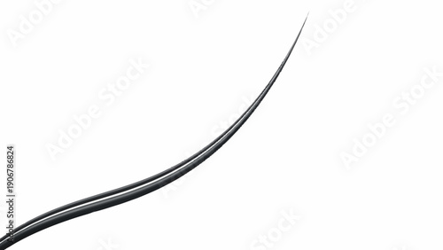 Black Hair Strand Closeup on White Background.