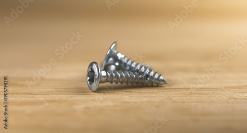 Corrosion resistant steel screws for attaching objects to wood