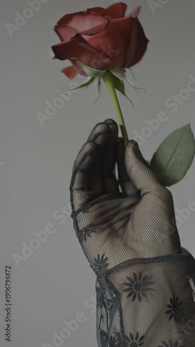 Wallpaper Mural Hand holding a vibrant red rose with green leaves, adorned in a black lace glove, showcasing the delicate beauty of the flower against a soft background, hdr video with neutral color Torontodigital.ca
