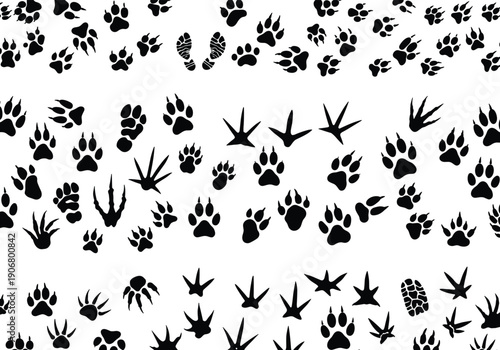Silhouette animal footprint collection with paw prints, bird tracks, reptile and amphibian trails, comparative wildlife design, educational illustration, nature concept