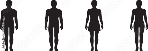 Vector file graphic with text in a simple, clean design on a white background