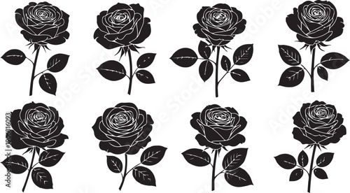 A collection of nine black and white roses with intricate details and varied orientations Vector