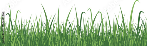 Vector illustration of lush green grass patch with detailed blades, natural texture, landscaping design element, environmental nature background art