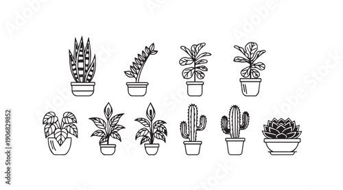 Collection of Potted Houseplants Line Art Vector Illustrations