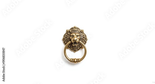 Bright white background showcasing a vintage door knocker