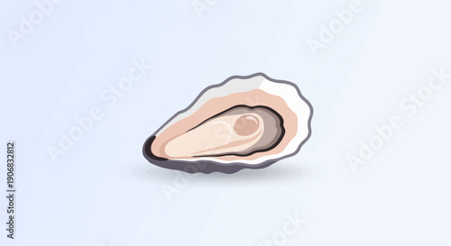 A single, open oyster with its meat showing on a light blue background