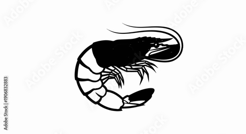 A stylized black and white illustration of a shrimp