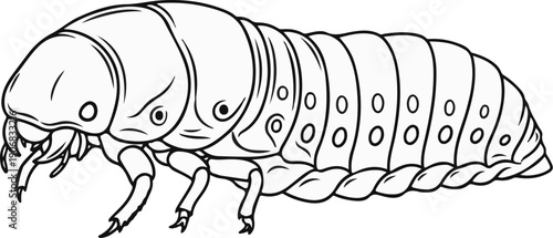 Black and white line drawing of a segmented grub with mandibles