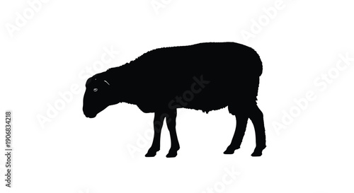 Simple black silhouette of a sheep grazing in a field from a side viewpoint illustration