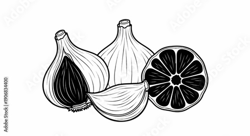 Black and white line drawing of garlic bulbs, a clove, and a citrus slice