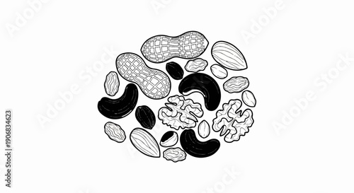 Black and white line drawing of various nuts arranged in a circle