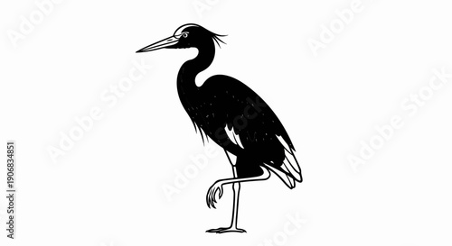 A striking black heron stands on one leg, its silhouette stark against white