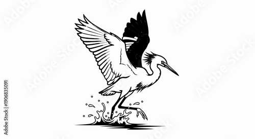 A stork with wings outstretched lands in water, splashing