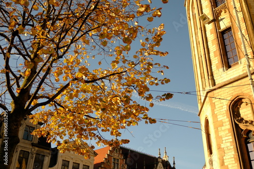 Wallpaper Mural Gand, Belgique Torontodigital.ca