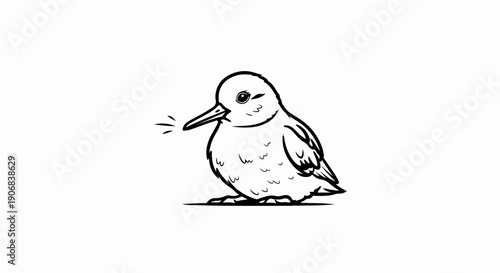 A small bird with a long beak is singing with sound waves emanating from its beak