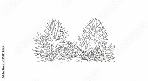 A stark line drawing depicts a cluster of varied bushes and trees