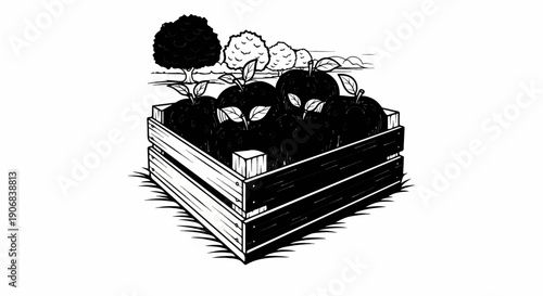 Black apples in a wooden crate with trees in background