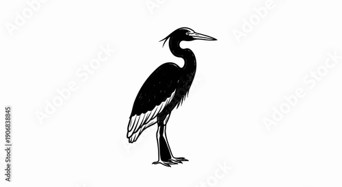 A stark black and white sketch of a wading bird standing tall on thin legs