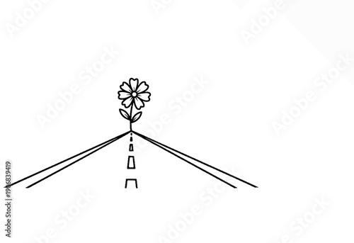 A solitary flower blooms from a dashed center line on a road