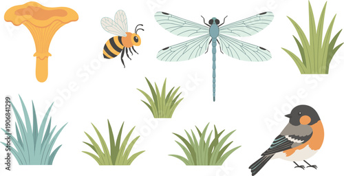 Various nature elements, including a mushroom, bee, dragonfly, grass, and bird, are depicted in a charming flat illustration style.