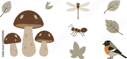Mushrooms, leaves, insects, and a bird form a charming collection of whimsical nature elements, perfect for children's books or educational materials.
