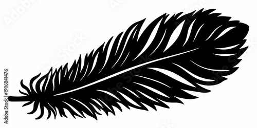 Elegant Peacock Plumage and Bird Feather Silhouette Vector Collection