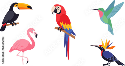 Colorful tropical birds collection in a flat illustration style, featuring a toucan, macaw, hummingbird, flamingo, and bird of paradise, showcasing vibrant wildlife.