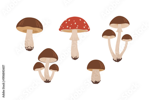 Various colorful cartoon mushrooms illustration set featuring different types of fungi, including a red spotted toadstool and brown edible varieties, perfect for autumn designs.