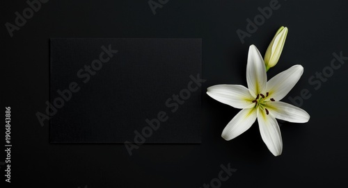 Black background sympathy card with lily flower and open text space