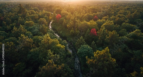 Birds eye view of ecosystem...