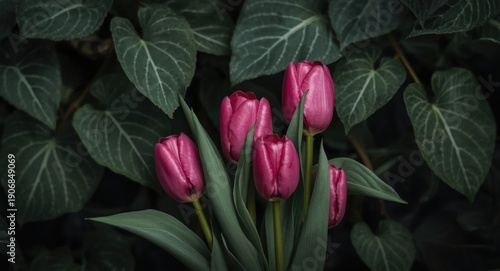A vivid pink tulip arrangem...