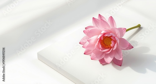 Charming pink lotus bouquet...